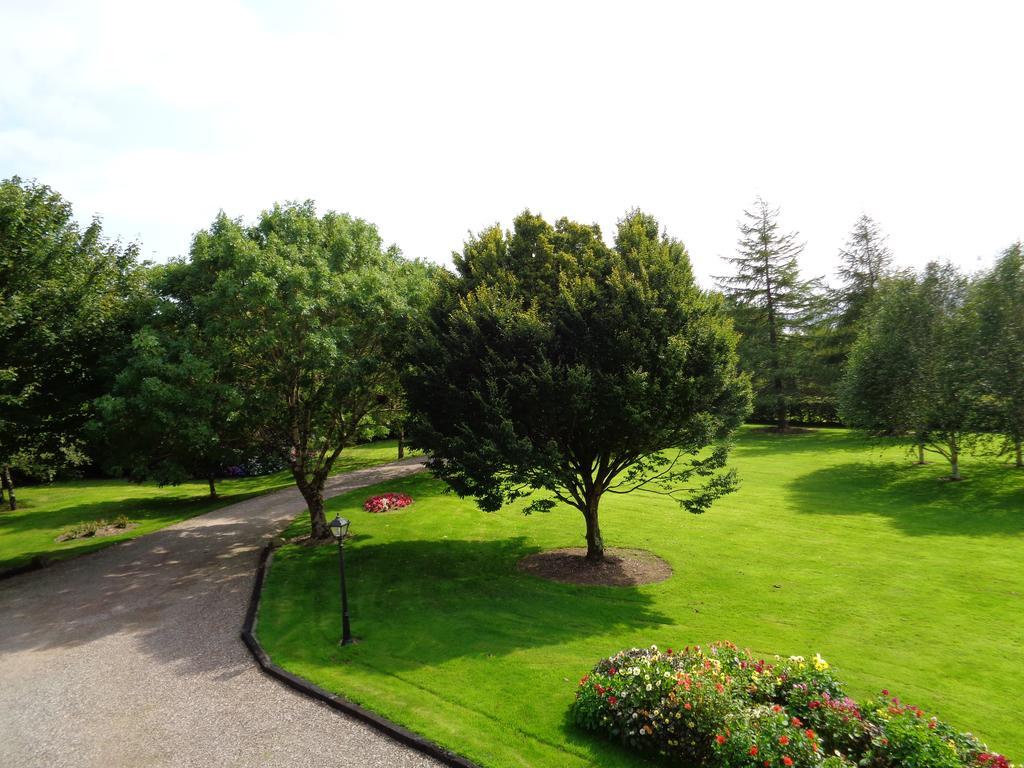 Redwood Bed & Breakfast Killarney Eksteriør bilde