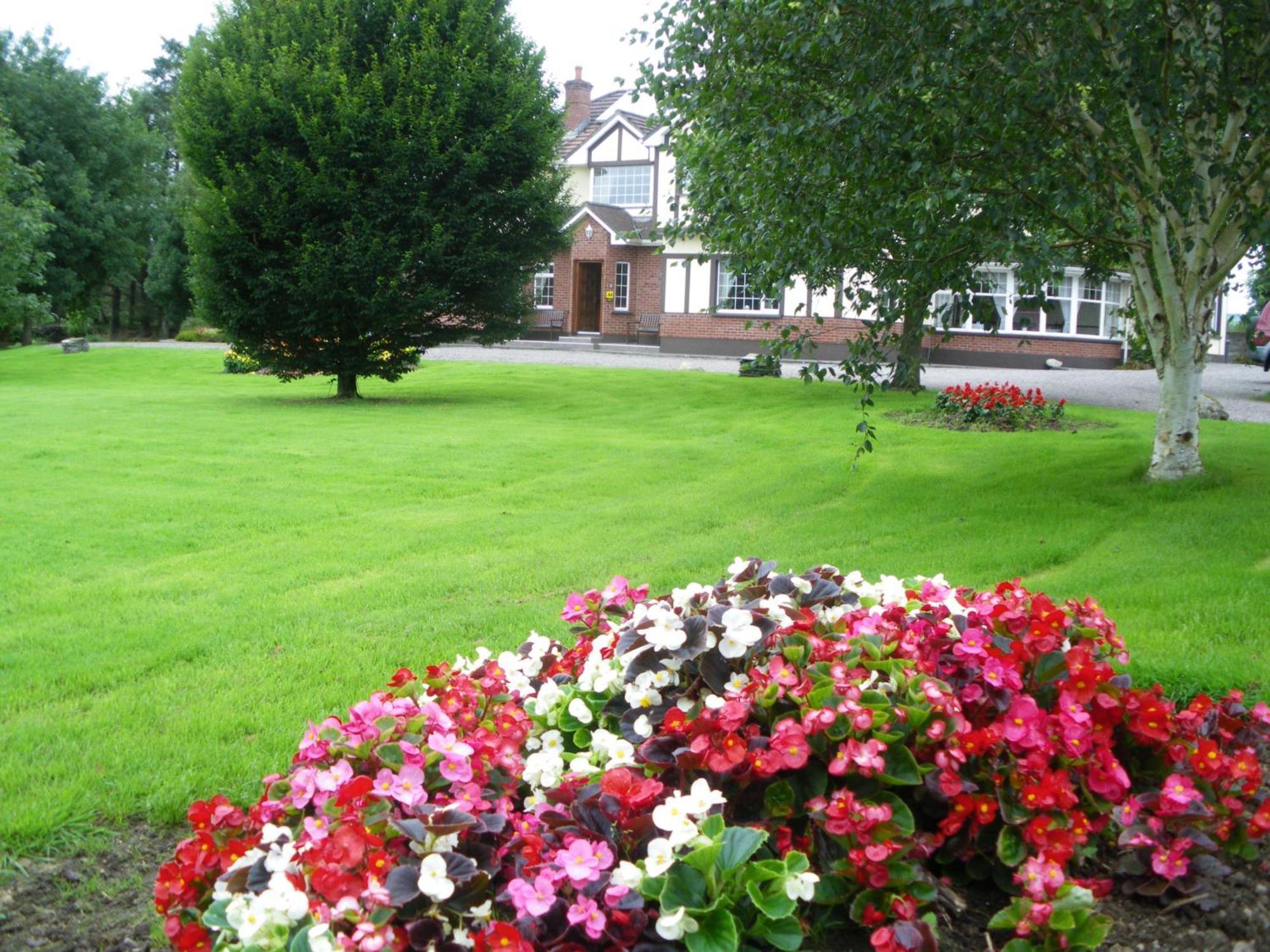 Redwood Bed & Breakfast Killarney Eksteriør bilde